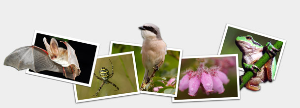 Biologische Station Kreis Wesel und Krefeld e.V.